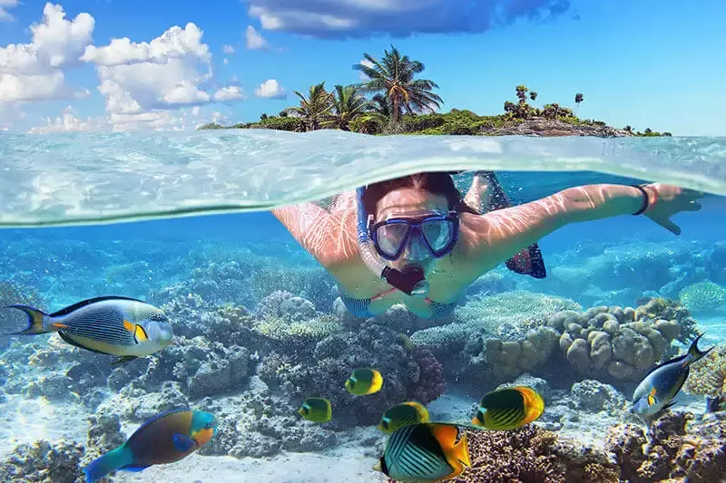 Snorkeling in crystal clear waters at Giftun Island