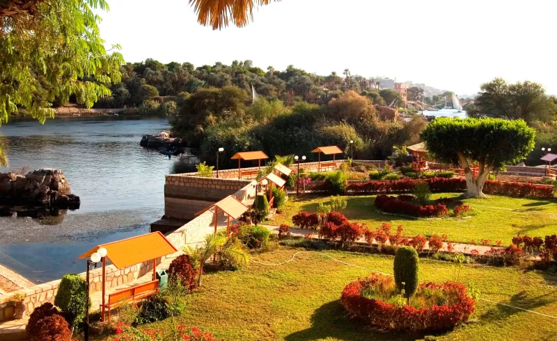Traditional Nile felucca in Aswan Egypt sailing past islands, palm trees, and riverside landscapes