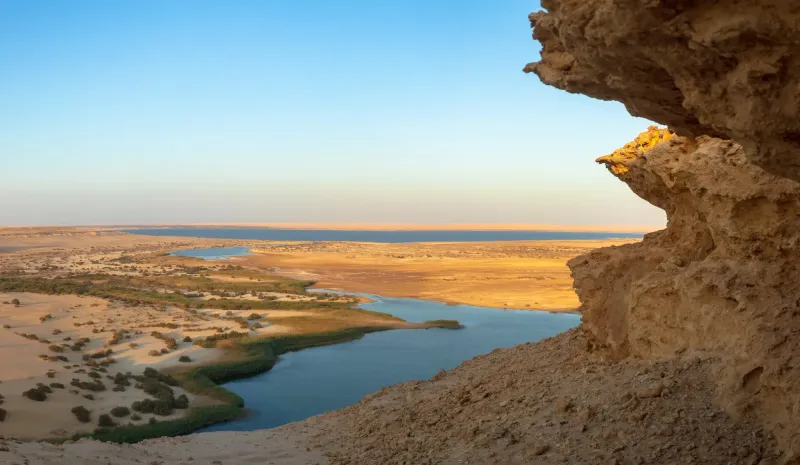 El Fayoum and Wadi El Rayan Day Tour From Cairo