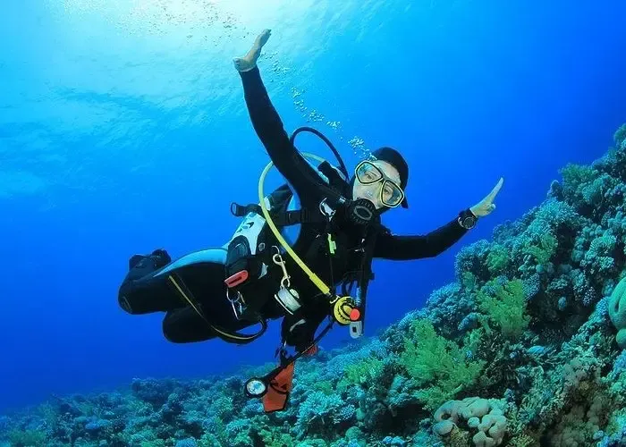 full day snorkeling trip to Tiran Island Red Sea