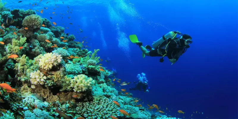 Mahmya Island snorkeling trip with Hurghada trips