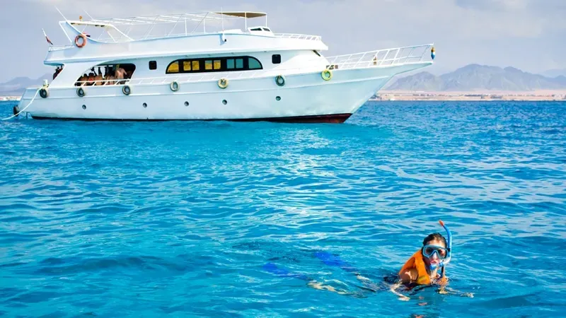 Egypt travel packages including Tiran Island trip