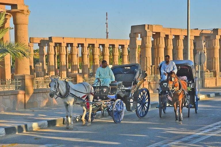 Horse Carriage Luxor Tour: Discover the Charm of Egypt’s Ancient City