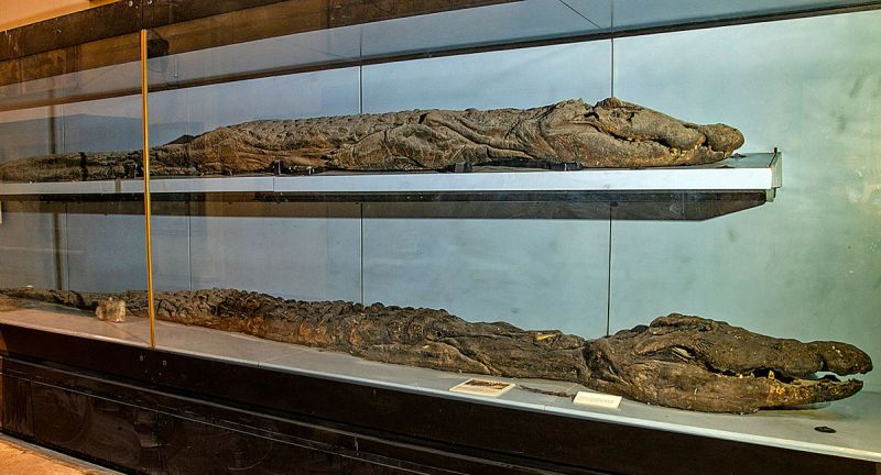 10-Day Premium Nile Cruise on Nour el Nil with Cairo Exploration