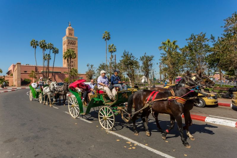 Horse-drawn carriage tours in Morocco