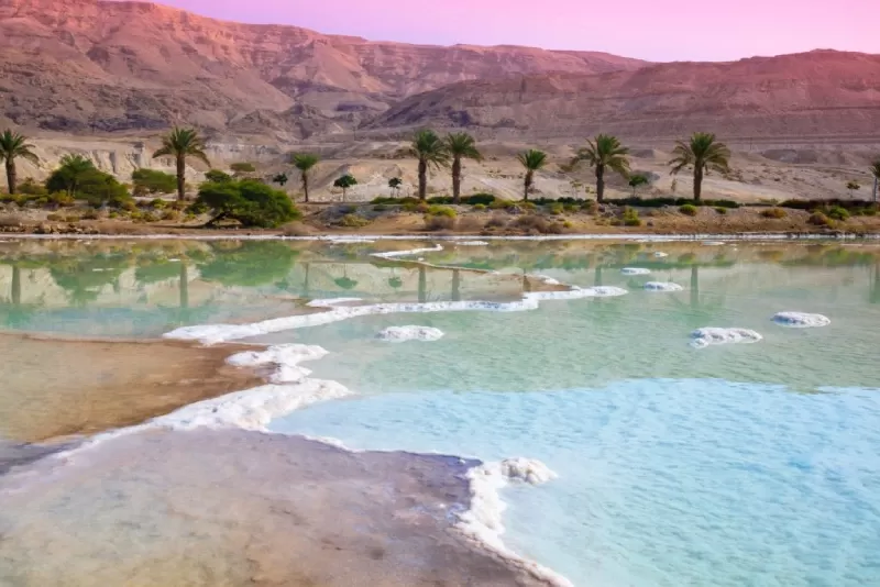 Traveler floating in the mineral-rich waters of the Dead Sea with surrounding desert mountains.