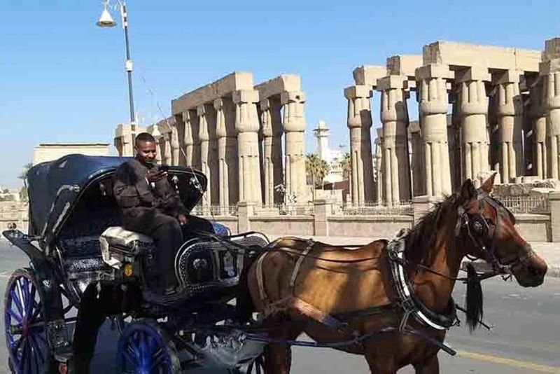 Explore Luxor’s wonders with a horse carriage day trip