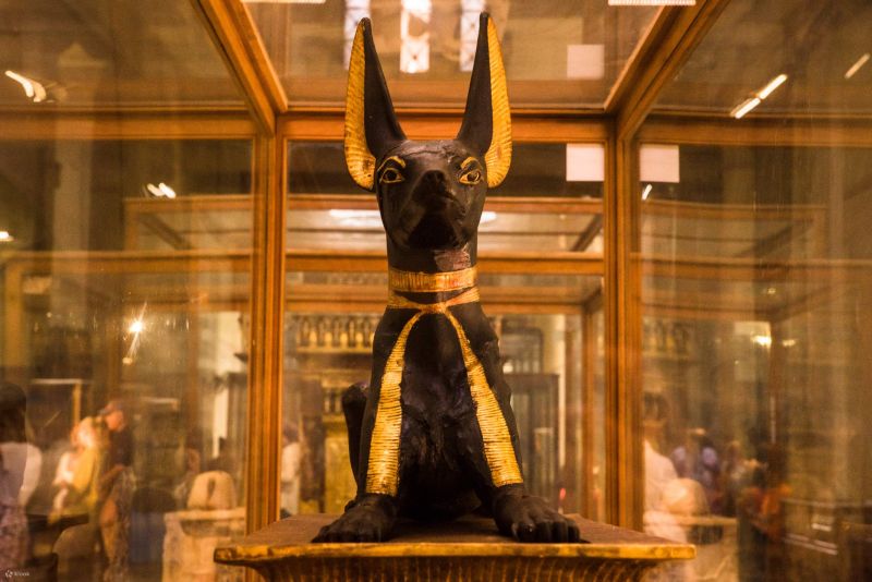 Explore ancient treasures at the Egyptian Museum on this 8-day Egypt Tour.