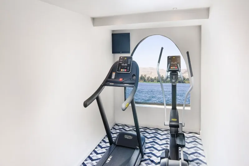 Modern gym with Nile views