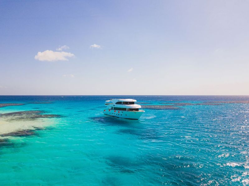 Tourists enjoying Marsa Alam holidays while spotting a Dugong at Marsa Mubarak lagoon.