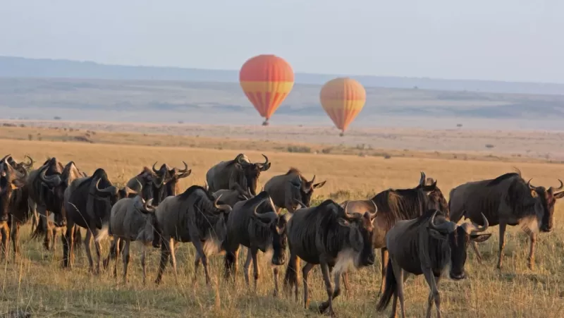 Hot air balloon flying above the Serengeti plains on a 4-Day Tanzania Serengeti Tour