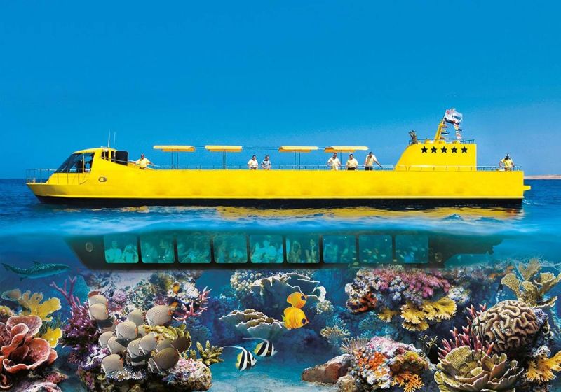 Marine life captured on Hurghada submarine tour excursion