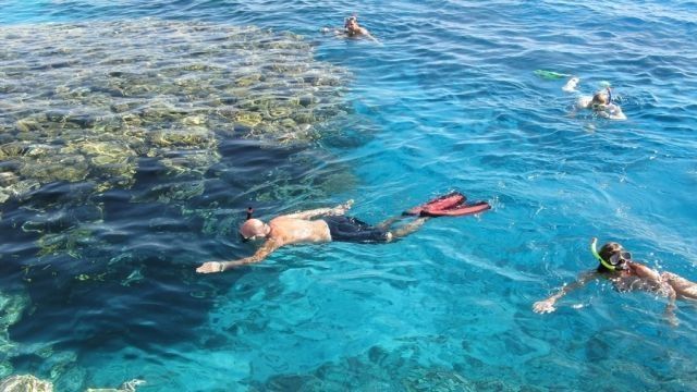 Day tour in Sharm El Sheikh with a snorkeling trip to Tiran Island