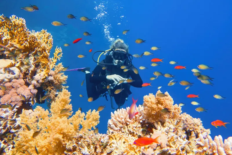 Snorkeling among colorful coral reefs in Hurghada