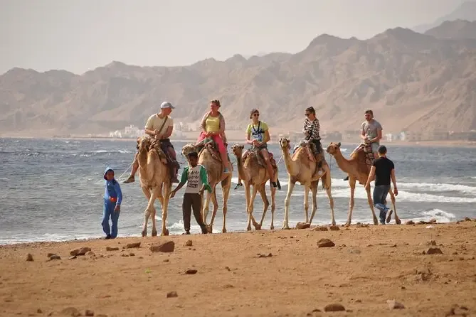 Dahab excursions include exciting desert safari trips