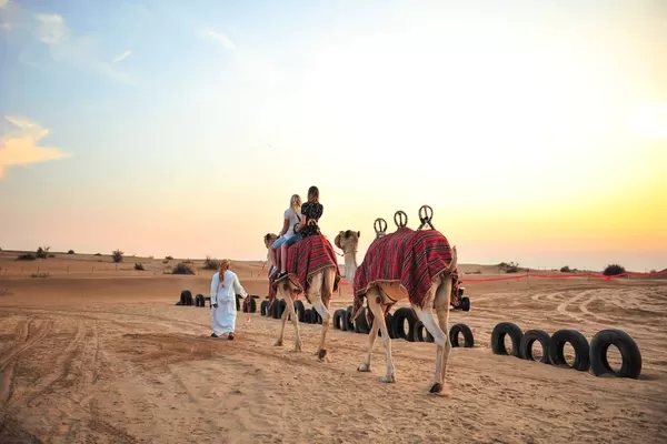 Dubai Desert Safari with dunes and camels