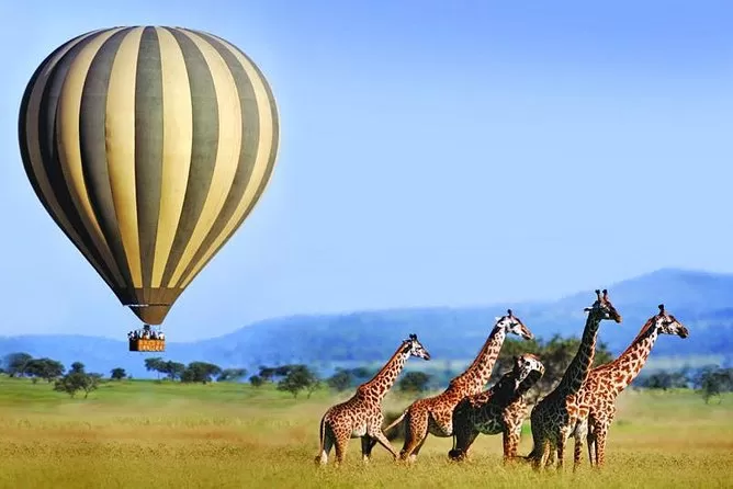 Serengeti Balloon Safaris Office