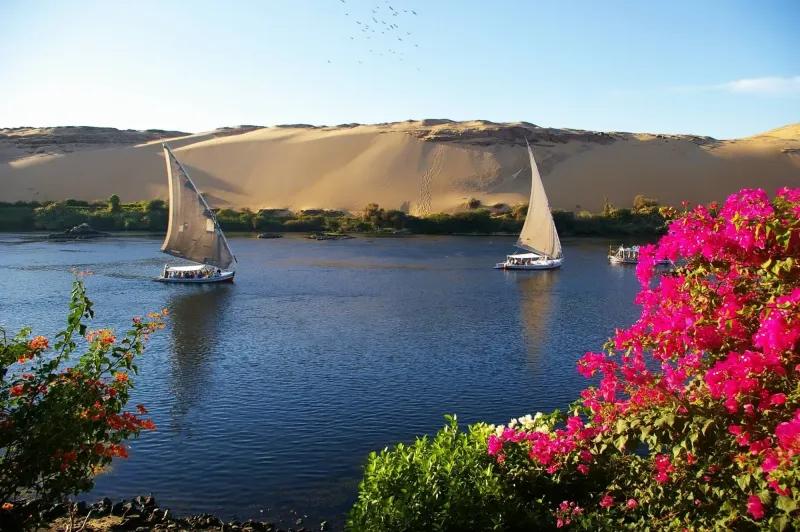 Tourists enjoying a felucca ride in Aswan Egypt surrounded by the peaceful waters of the Nile River