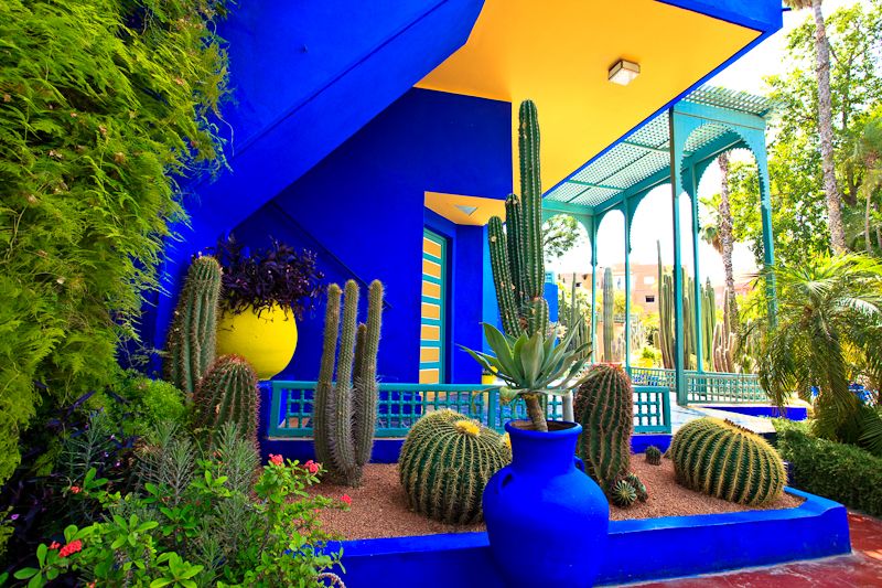 Explore the vibrant colors of Majorelle Garden on your Morocco adventure tour