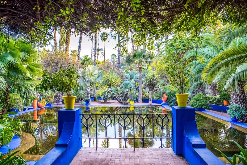 Enjoy a private tour of Majorelle Gardens in Morocco