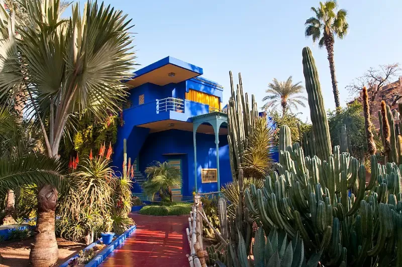 Discover the beauty of Majorelle Garden on a Morocco cultural tour