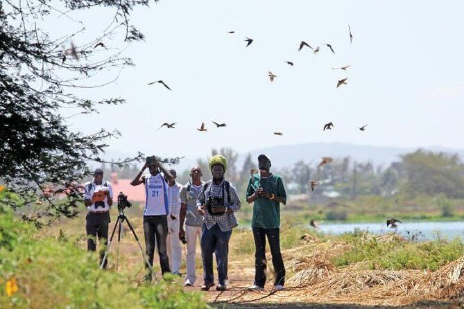 Bird Watching in Aswan 
