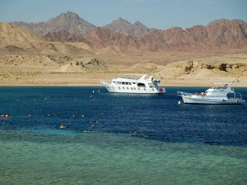 Snorkeling Trip to Ras Mohammed from Sharm El Sheikh