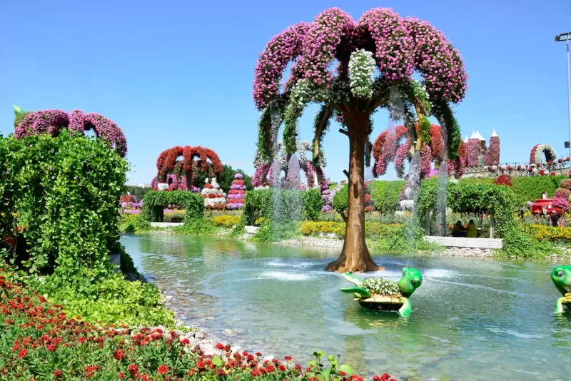 7-day Dubai family tours exploring Dubai Miracle Garden