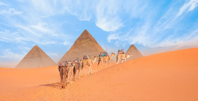 Cairo camel ride tour Giza Pyramids experience