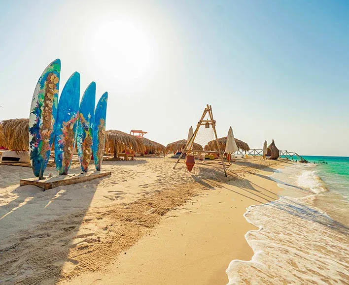 Marine life at Giftun Island snorkeling Hurghada Excursions
