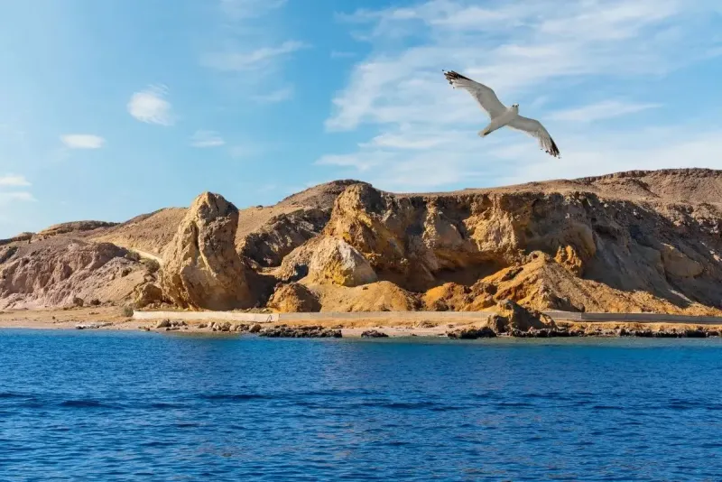 things to do in Ras Mohamed National Park Egypt