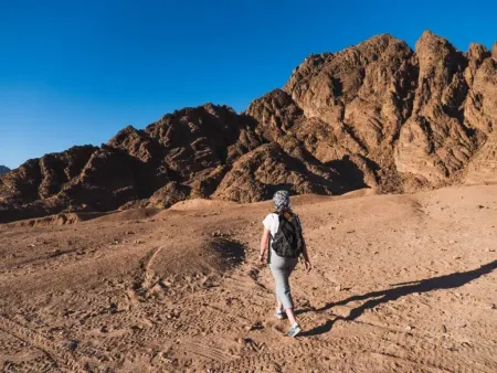 Bahariya Oasis
