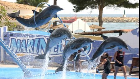 The Hurghada Dolphin Show