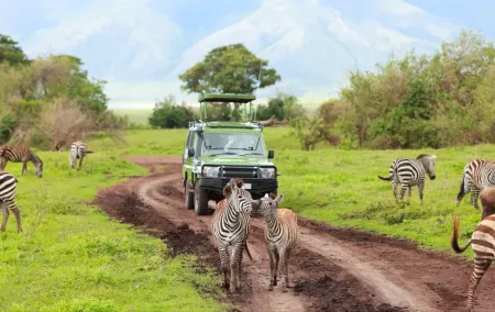 Best Kenya Safari Tour