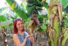 Experience the charm of Banana Island with a Luxor excursion