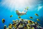  Snorkeling in the crystal-clear waters of Dahab during a Dahab day trip