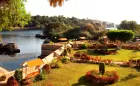 Traditional Nile felucca in Aswan Egypt sailing past islands, palm trees, and riverside landscapes