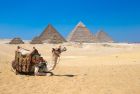 Great Pyramids of Giza during 5-Days Cairo and Abu Dhabi Tour