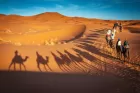 Unforgettable Abu Dhabi Desert Safari Tours for Every Traveler