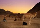 Hurghada Desert Safari By Jeep