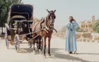 Discover Luxor's charm on the best horse carriage ride tour