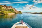 Best bird watching tour in Aswan Egypt exploring local bird species and the natural beauty of the Nile