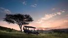 Scenic Serengeti National Park landscapes – 17-Day Tanzania, Zanzibar and Egypt Tour