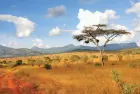 Golden sunset over Kenya’s wildlife reserves experienced during Africa tours.
