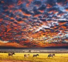 Sunset over the Serengeti savannah during a 4-Day Serengeti Safari Tours 