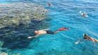 Day tour in Sharm El Sheikh with a snorkeling trip to Tiran Island