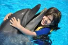 Enjoy a dolphin show on Sharm El Sheikh excursions