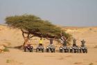Best Safari in Hurghada: Quad Bike and Bedouin Camp 
