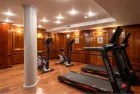 Magic I Fully equipped Gym 