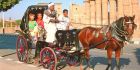 A horse carriage ride: A perfect way to visit Luxor’s attractions